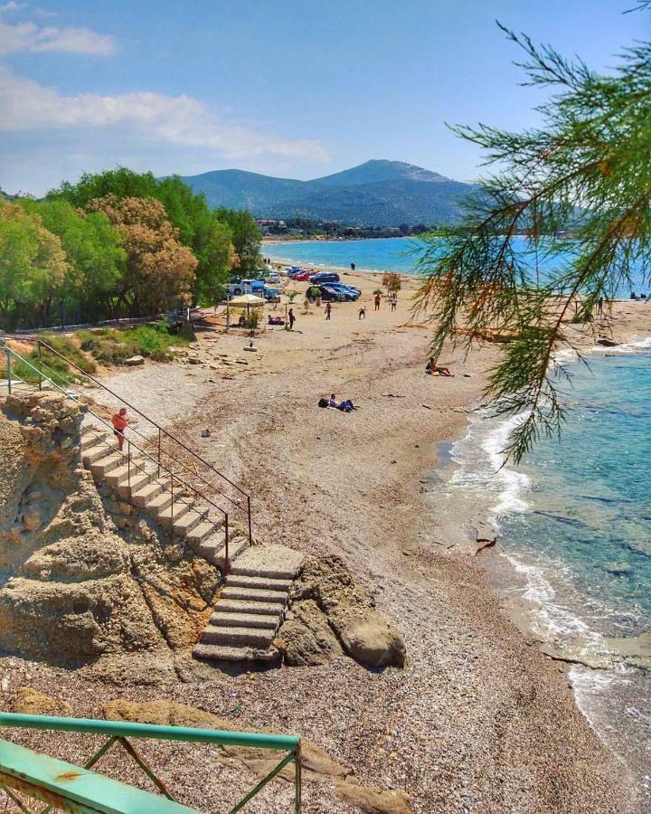 House,1000M From Beach Lagonisi Extérieur photo