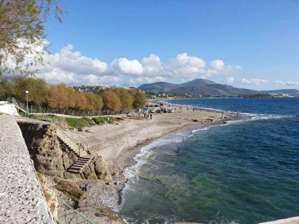 House,1000M From Beach Lagonisi Extérieur photo